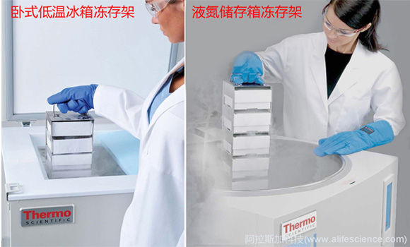 單體多層超低溫凍存架 單體多層超低溫凍存架
