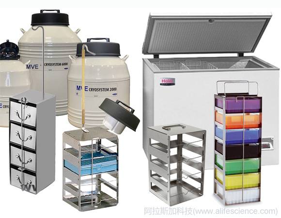 液氮罐 臥式超低溫冰箱凍存架 液氮罐 臥式超低溫冰箱凍存架