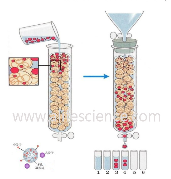 蛋白提取純化的幾種常用方法 蛋白提取純化的幾種常用方法