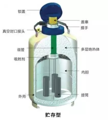 1609136317368560.jpg 1.jpg