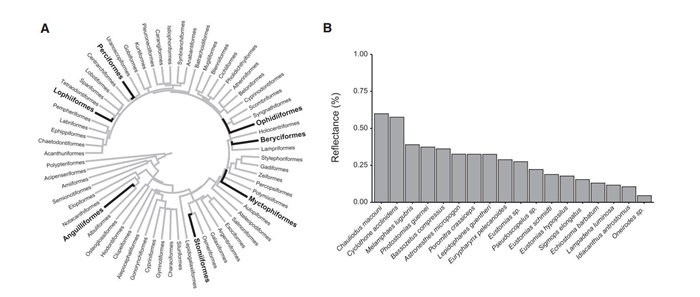 1610342996820768.jpg 2.jpg
