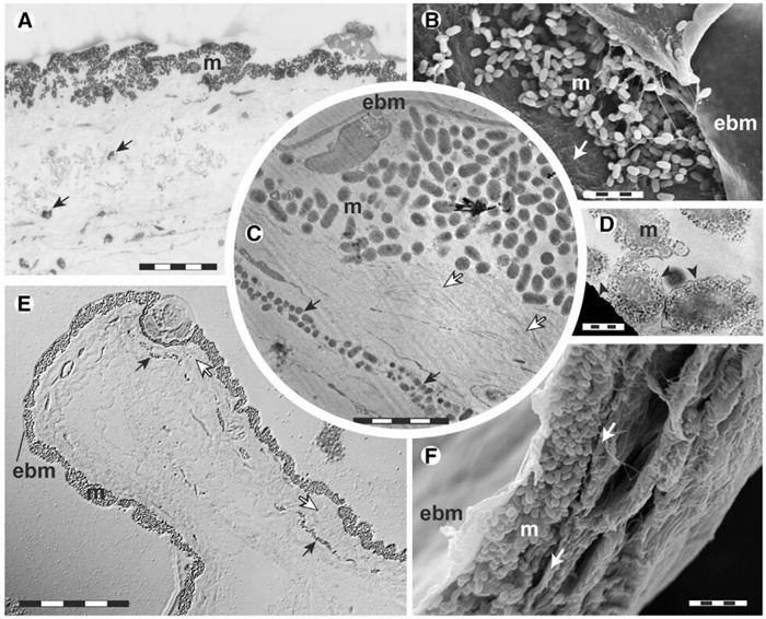 1610343019395798.jpg 3.jpg