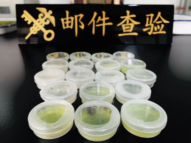 郵件中查獲秀麗隱桿線蟲18盒 郵件中查獲秀麗隱桿線蟲18盒