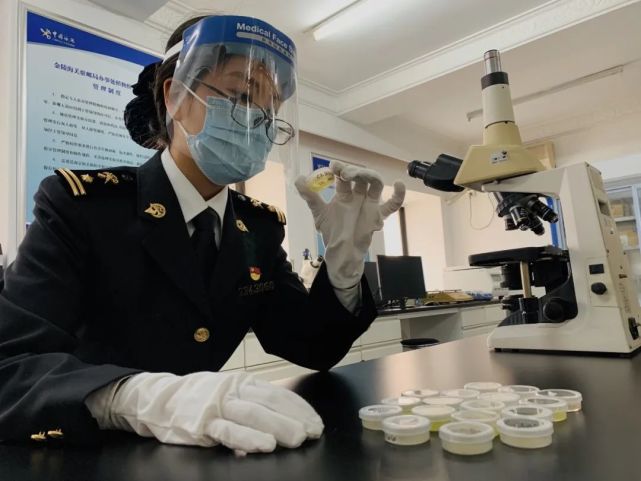 顯微鏡鏡檢 顯微鏡鏡檢