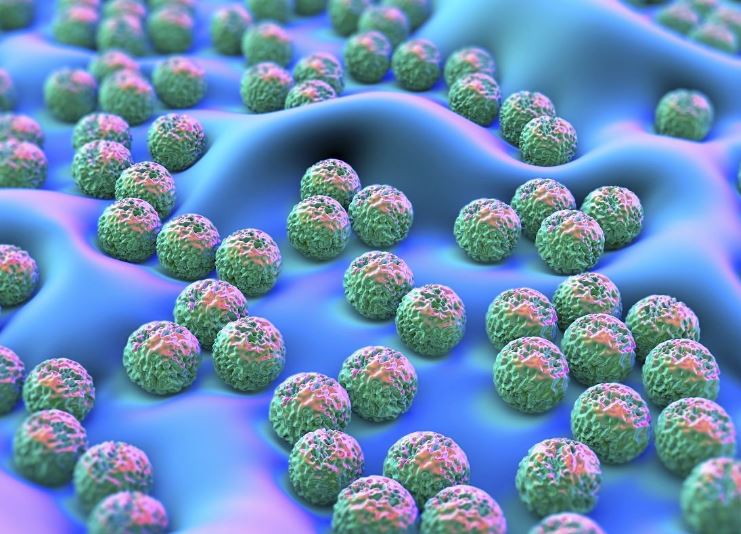 過度使用消毒劑和抗生素或致超級(jí)細(xì)菌疫情暴發(fā) 過度使用消毒劑和抗生素或致超級(jí)細(xì)菌疫情暴發(fā)