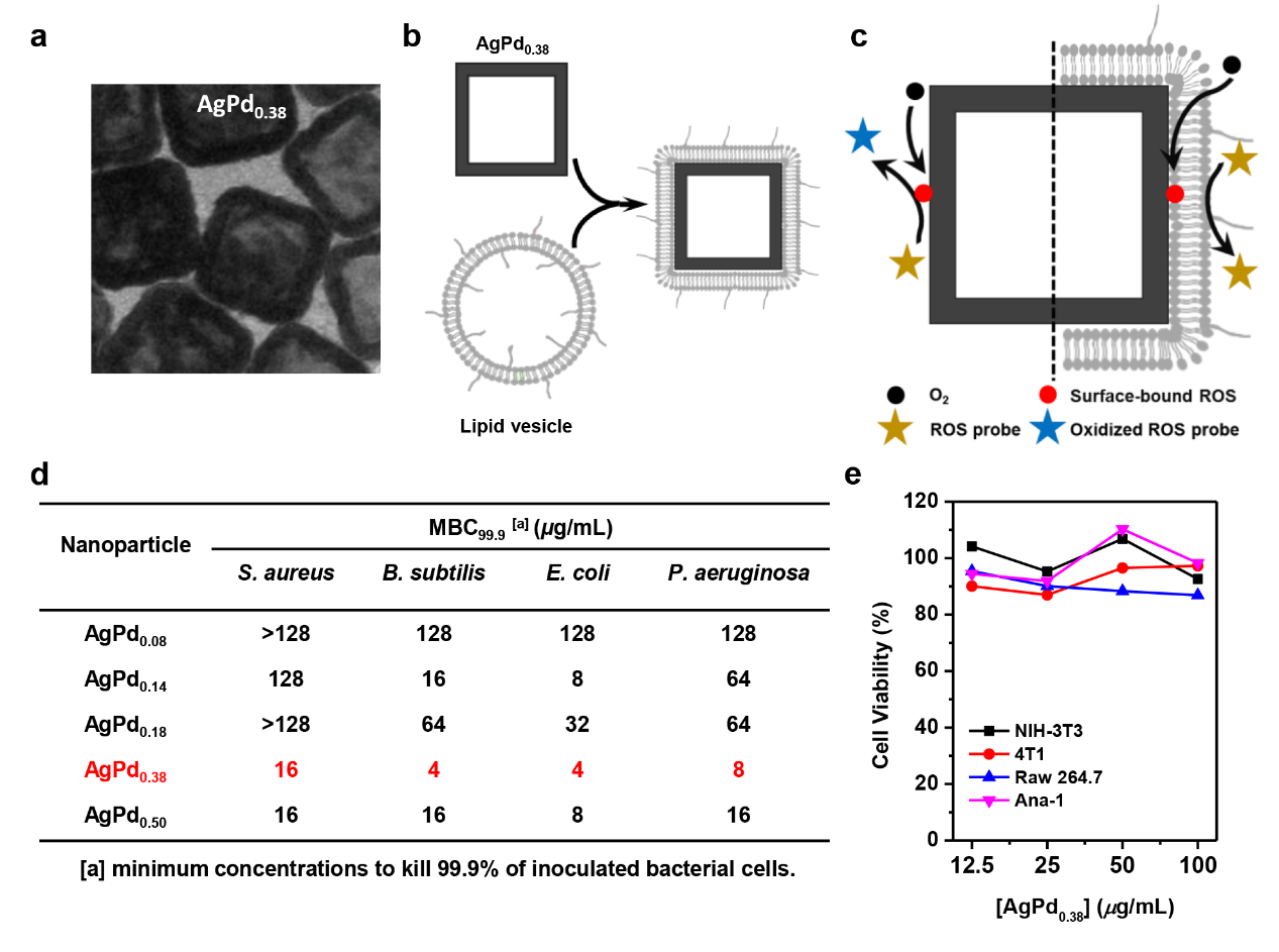 高效低毒抗菌納米酶的構(gòu)建 高效低毒抗菌納米酶的構(gòu)建