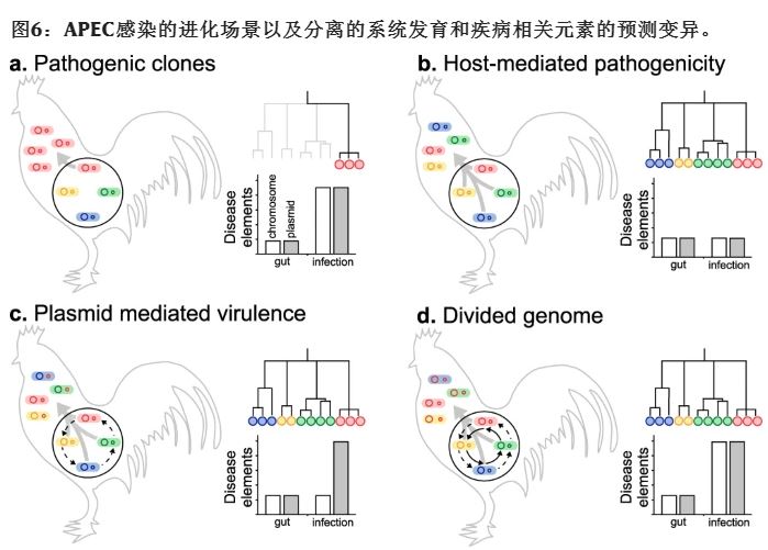 無害的腸道細菌如何“變質(zhì)” 無害的腸道細菌如何“變質(zhì)”