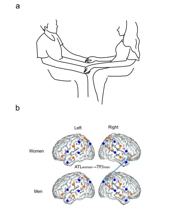 情侶吵架后多牽手，觸覺(jué)交流促進(jìn)親密關(guān)系