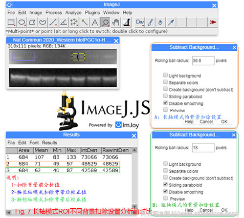 Western Blot條帶背景扣除設置與分析結果.jpg Western Blot條帶背景扣除設置與分析結果.jpg