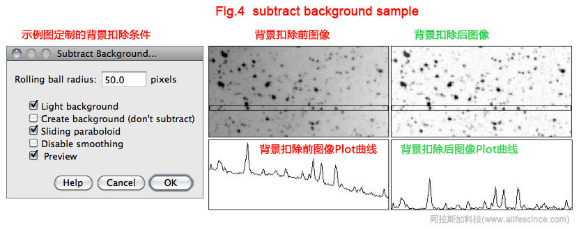ImageJ圖像分析軟件背景扣除滾球半徑設(shè)置.jpg ImageJ圖像分析軟件背景扣除滾球半徑設(shè)置.jpg