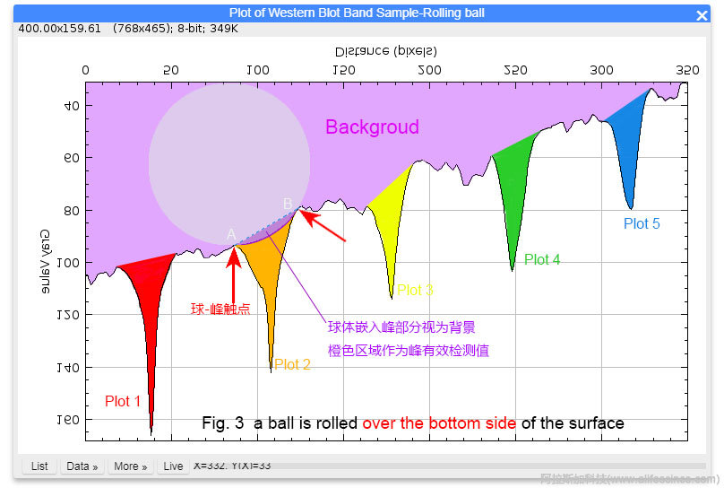 ImageJ圖像分析軟件Rolling ball扣除背景算法原理圖.jpg ImageJ圖像分析軟件Rolling ball扣除背景算法原理圖.jpg