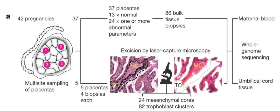 1615816850715543.jpg 1615816850715543.jpg