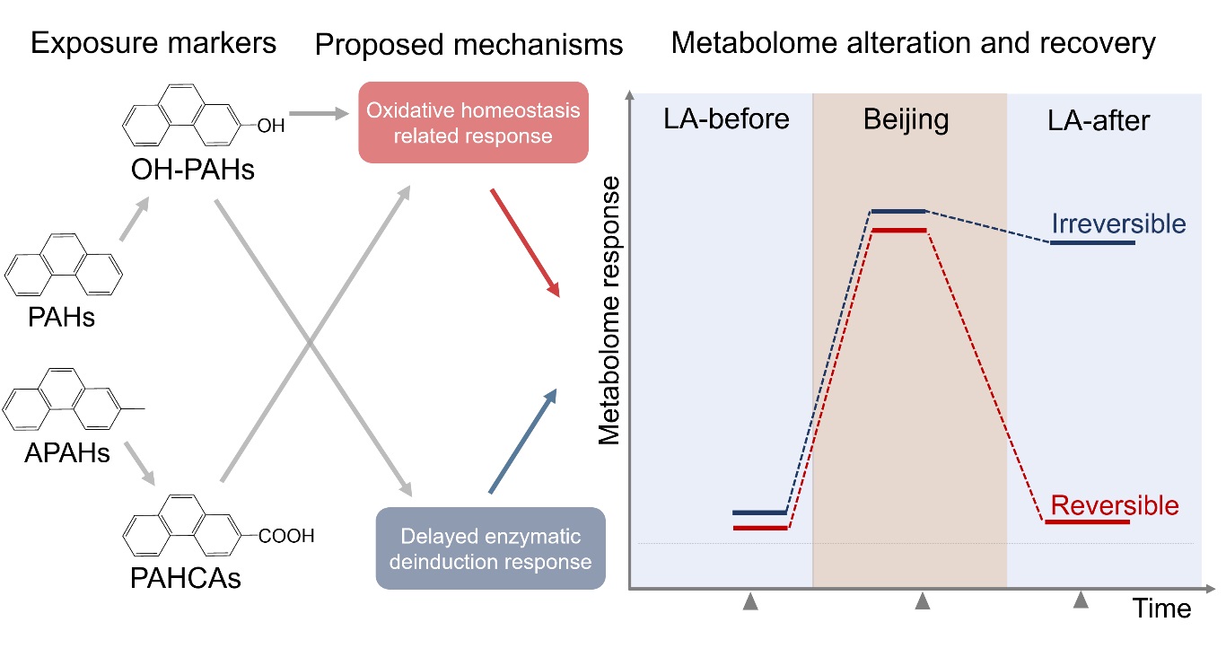 1616596597416556.jpg 1616596597416556.jpg