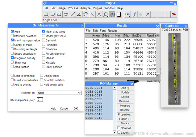 Western Blot條帶分析中ImageJ分析參數(shù)設(shè)置.jpg Western Blot條帶分析中ImageJ分析參數(shù)設(shè)置.jpg