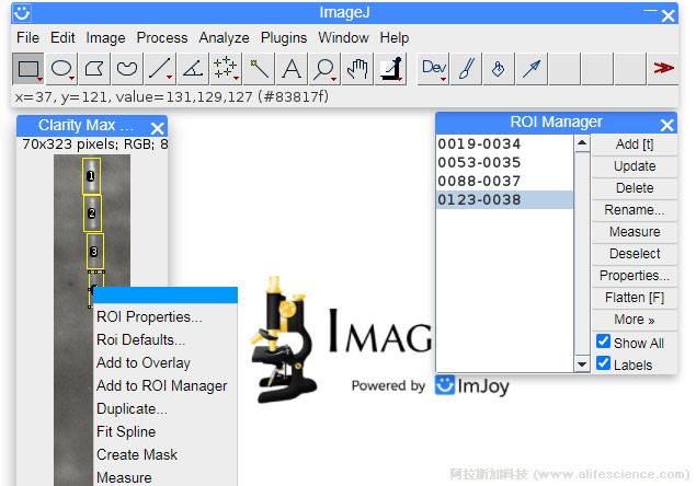 用Image J為Western Blot條帶分析建立選區(qū)ROI.jpg 用Image J為Western Blot條帶分析建立選區(qū)ROI.jpg