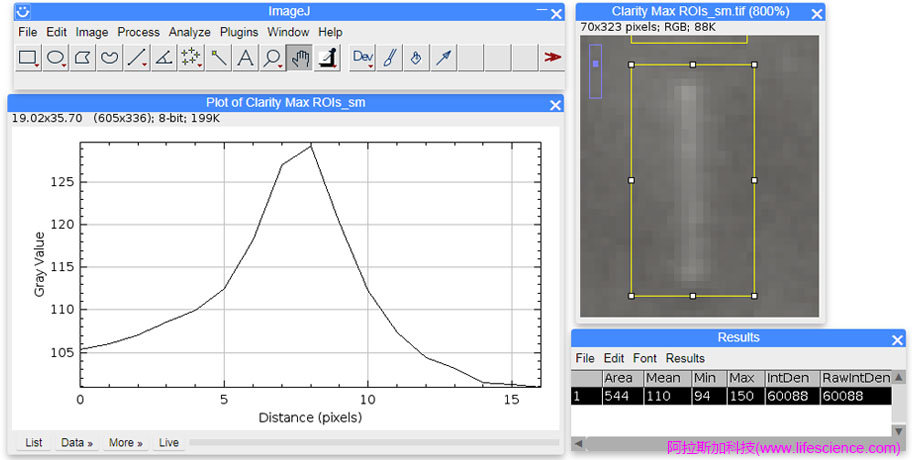 ImageJ軟件Plot Profile的WB條帶選區(qū)ROI峰型圖和統(tǒng)計(jì)結(jié)果.jpg