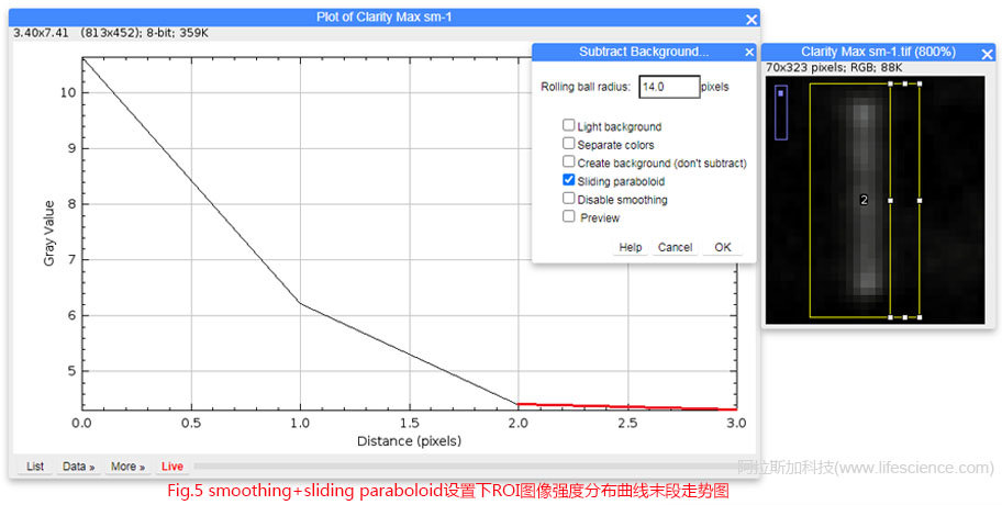 Fig 5 smoothing+sliding paraboloid設(shè)置下ROI圖像強度分布曲線末段走勢圖.jpg Fig 5 smoothing+sliding paraboloid設(shè)置下ROI圖像強度分布曲線末段走勢圖.jpg