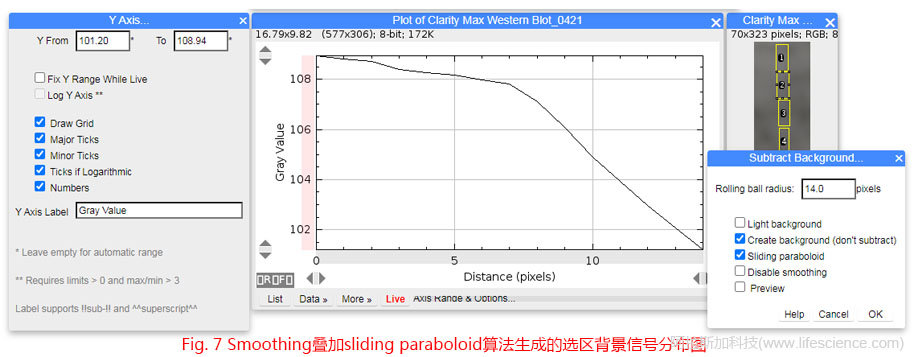 Fig 7 Smoothing疊加sliding paraboloid算法生成的選區(qū)背景信號分布圖.jpg Fig 7 Smoothing疊加sliding paraboloid算法生成的選區(qū)背景信號分布圖.jpg