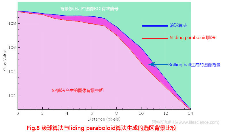 Fig 8 滾球算法與liding paraboloid算法生成的選區(qū)圖像背景.jpg Fig 8 滾球算法與liding paraboloid算法生成的選區(qū)圖像背景.jpg