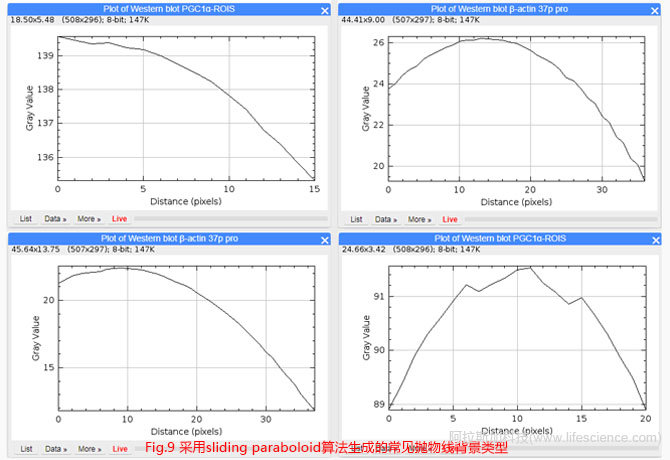 Fig 9 采用sliding paraboloid算法生成的常見拋物線背景類型.jpg Fig 9 采用sliding paraboloid算法生成的常見拋物線背景類型.jpg