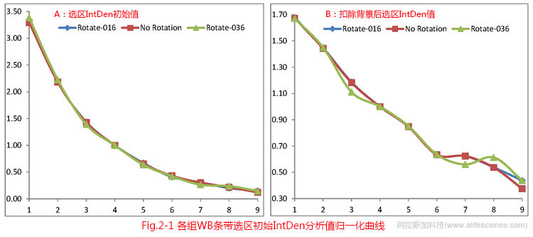 Fig 2-1 各組WB條帶選區(qū)初始IntDen分析值歸一化曲線.jpg Fig 2-1 各組WB條帶選區(qū)初始IntDen分析值歸一化曲線.jpg