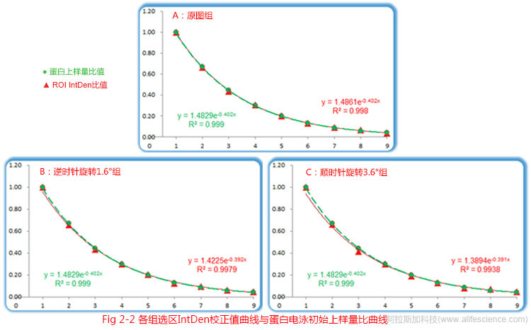 Fig 2-2 各組ROI IntDen值比值曲線與蛋白電泳初始載量比值曲線.jpg Fig 2-2 各組ROI IntDen值比值曲線與蛋白電泳初始載量比值曲線.jpg