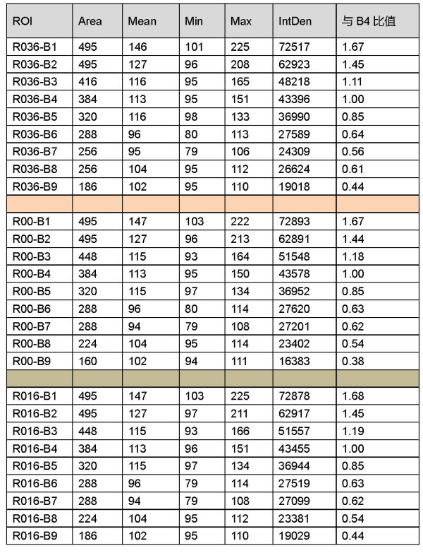 表2 不同旋轉(zhuǎn)角度組選區(qū)圖像初始值表.jpg 表2 不同旋轉(zhuǎn)角度組選區(qū)圖像初始值表.jpg