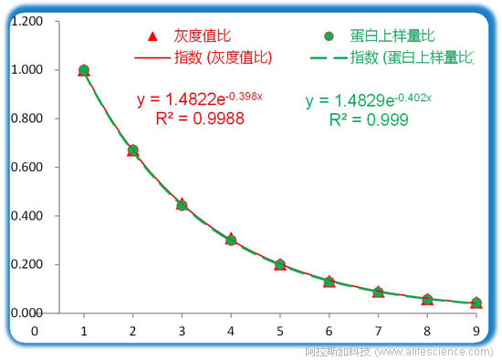 Western Blot條帶圖像灰度值與蛋白初始載量歸一化曲線對比.jpg Western Blot條帶圖像灰度值與蛋白初始載量歸一化曲線對比.jpg