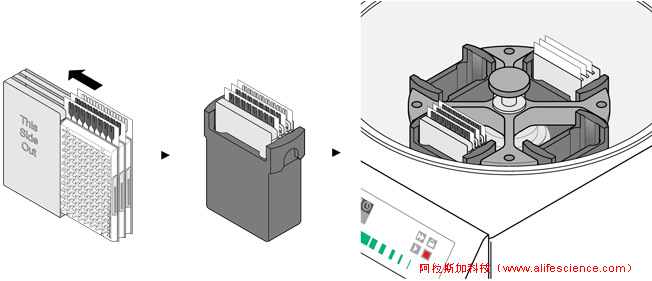 實時熒光定量PCR儀TAC離心示意圖.jpg 實時熒光定量PCR儀TAC離心示意圖.jpg