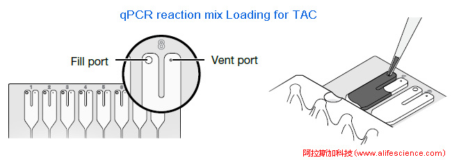 實時熒光定量PCR TAC上樣操作示意圖.jpg 實時熒光定量PCR TAC上樣操作示意圖.jpg