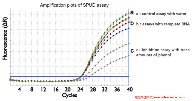 蜂蜜瀏覽器_實時熒光定量PCR反應抑制劑測試.jpg 蜂蜜瀏覽器_實時熒光定量PCR反應抑制劑測試.jpg
