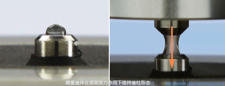 NanoDrop OneC微量紫外可見光度計(jì)工作原理.jpg NanoDrop OneC微量紫外可見光度計(jì)工作原理.jpg