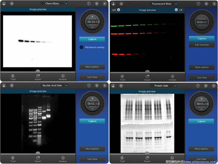 iBright FL1500 Western熒光成像儀四種檢測模式.jpg iBright FL1500 Western熒光成像儀四種檢測模式.jpg