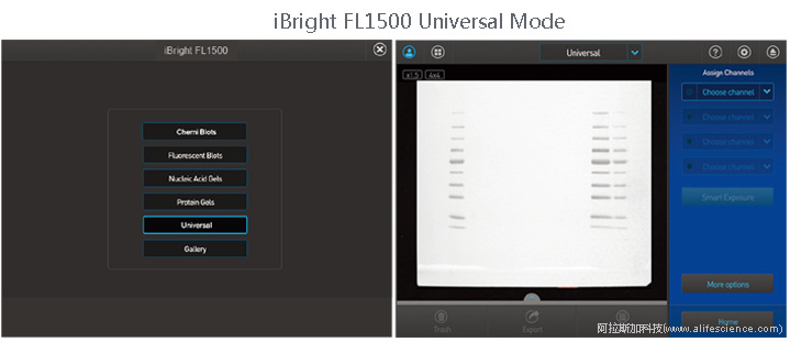 iBright FL1500 Universal Mode.jpg iBright FL1500 Universal Mode.jpg