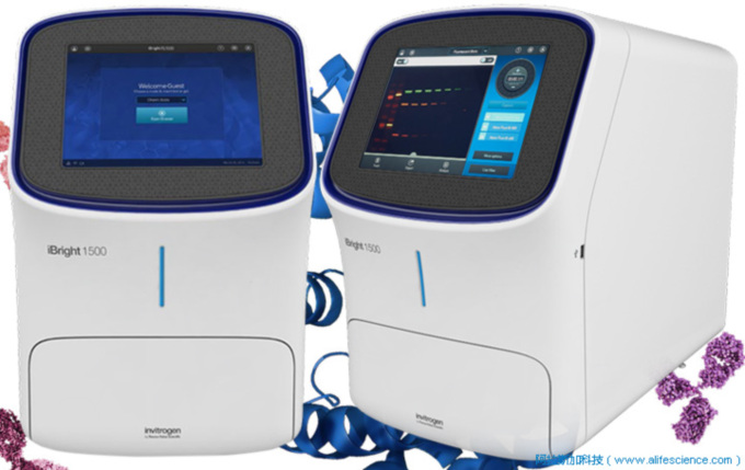 iBright FL1500 Western熒光成像分析儀.jpg iBright FL1500 Western熒光成像分析儀.jpg