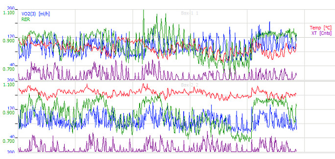 TSE PhenoMaster NG代謝監(jiān)測數(shù)據(jù)顯示界面.jpg TSE PhenoMaster NG代謝監(jiān)測數(shù)據(jù)顯示界面.jpg