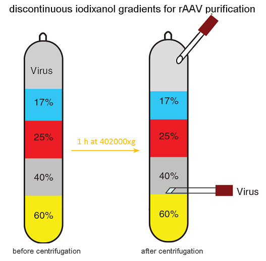 Beckman Optima XPN-100_Optima XPN-90_Optima XPN-80超速離心機(jī)NVT 65近垂直轉(zhuǎn)頭不連續(xù)密度梯度離心設(shè)置演示圖.jpg Beckman Optima XPN-100_Optima XPN-90_Optima XPN-80超速離心機(jī)NVT 65近垂直轉(zhuǎn)頭不連續(xù)密度梯度離心設(shè)置演示圖.jpg