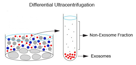 Optima MAX-XP臺式超速離心機外泌體分離原理.jpg Optima MAX-XP臺式超速離心機外泌體分離原理.jpg