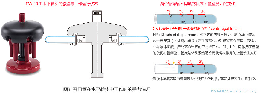 Beckman Optima XPN-100超速離心機開口管在SE40 Ti水平轉(zhuǎn)頭中工作時的受力情況.jpg Beckman Optima XPN-100超速離心機開口管在SE40 Ti水平轉(zhuǎn)頭中工作時的受力情況.jpg