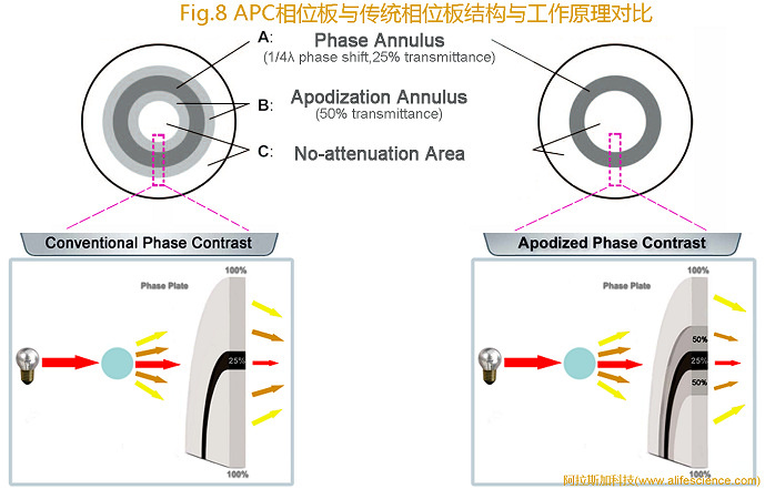 Nikon Eclipse TS2 FL_Eclipse Ti-E倒置顯微鏡APC相位板與傳統(tǒng)PH相位板結(jié)構(gòu)與工作原理圖.jpg Nikon Eclipse TS2 FL_Eclipse Ti-E倒置顯微鏡APC相位板與傳統(tǒng)PH相位板結(jié)構(gòu)與工作原理圖.jpg