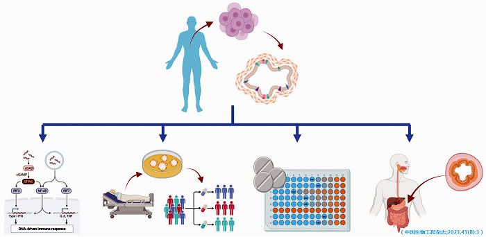 圖3 類器官技術(shù)的主要應(yīng)用場(chǎng)景.jpg