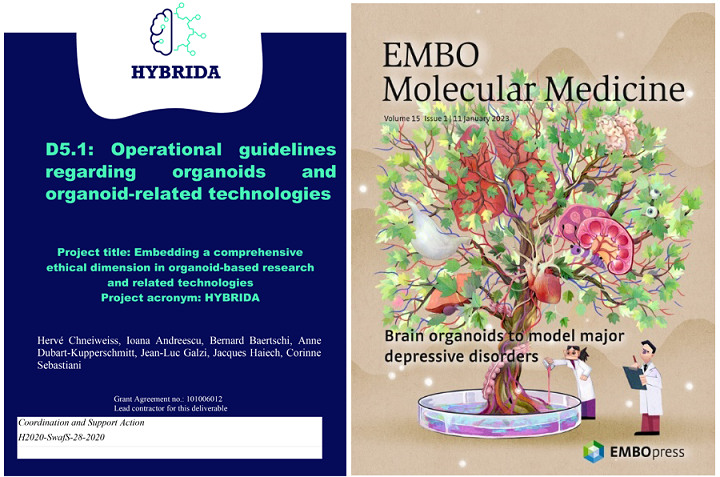 圖6 HYBRIDA指南對(duì)類器官技術(shù)開發(fā)和應(yīng)用的指導(dǎo)意義.jpg